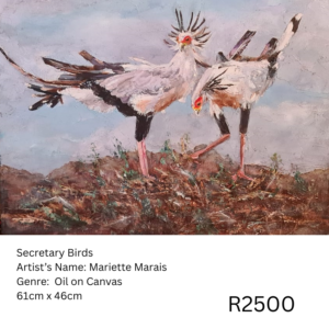Secretary Birds