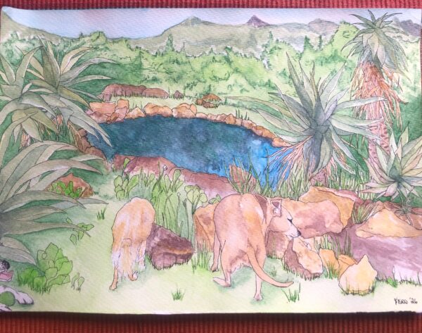 Across The Pond - Watercolour on Paper