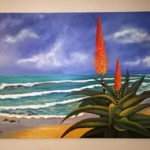 Aloe at Jbay