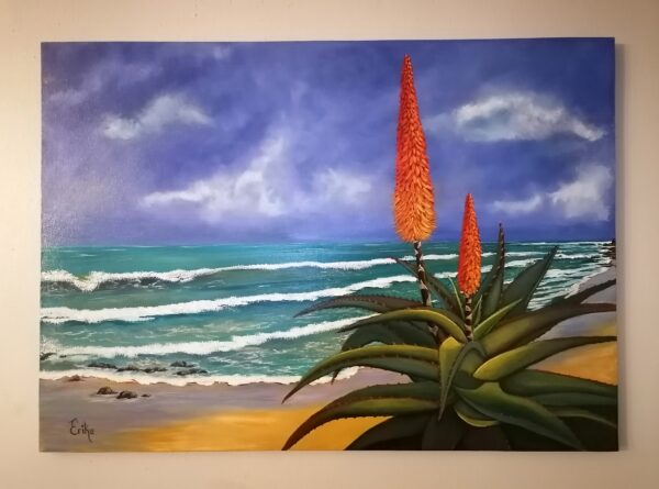 Aloe at Jbay