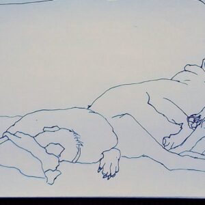 Let Sleeping Dogs