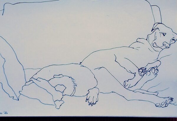 Let Sleeping Dogs